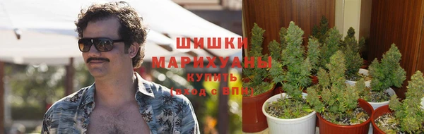 спиды Дмитровск