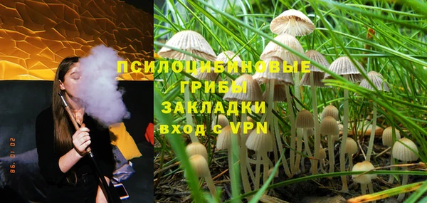 гашиш Дмитриев