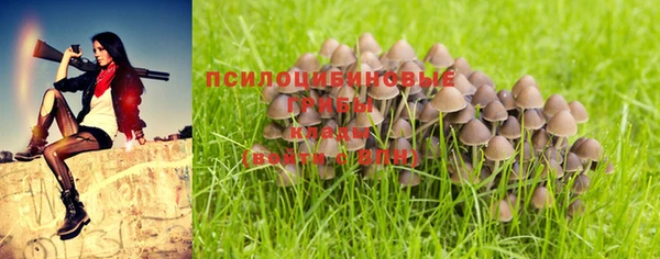 mix Дмитров