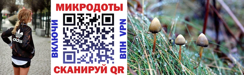 Купить где  Морозовск  Псилоцибиновые грибы мицелий 